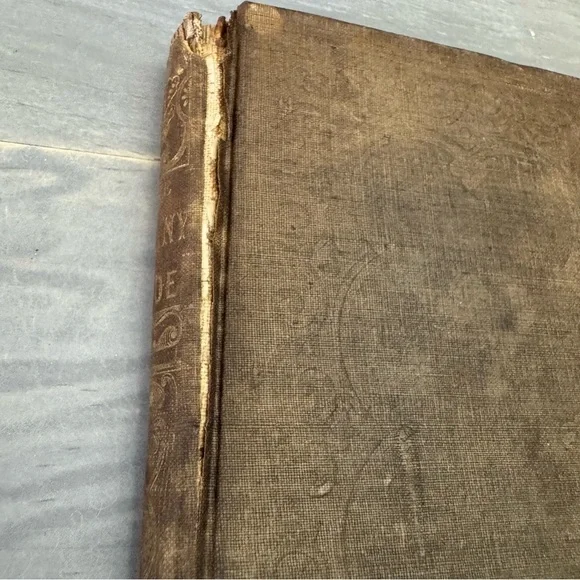 Antique THE SUNNY SIDE; or, the Country Minister's Wife 1851Hardback Book - Picture 3 of 17